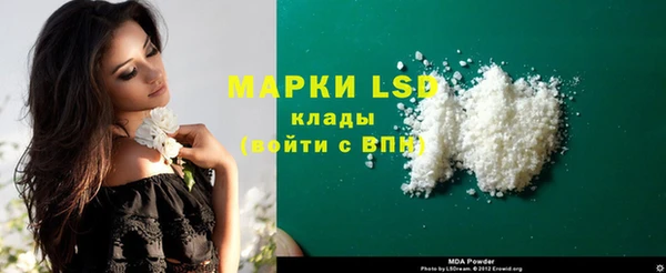индика Гусев