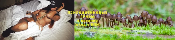 ALPHA PVP Горняк