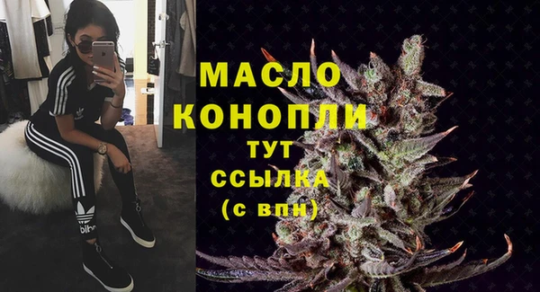 крисы Сясьстрой