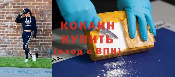 тгк Горнозаводск