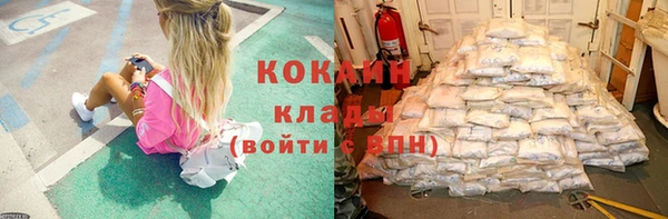 бошки Мегион