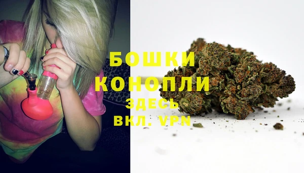 СК Медногорск