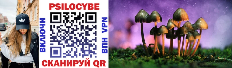 Псилоцибиновые грибы Psilocybine cubensis  Перевоз 